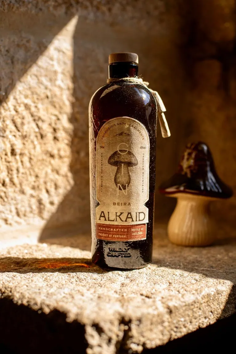 Alkaid Gin